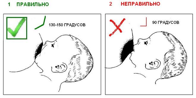 Правила кормления