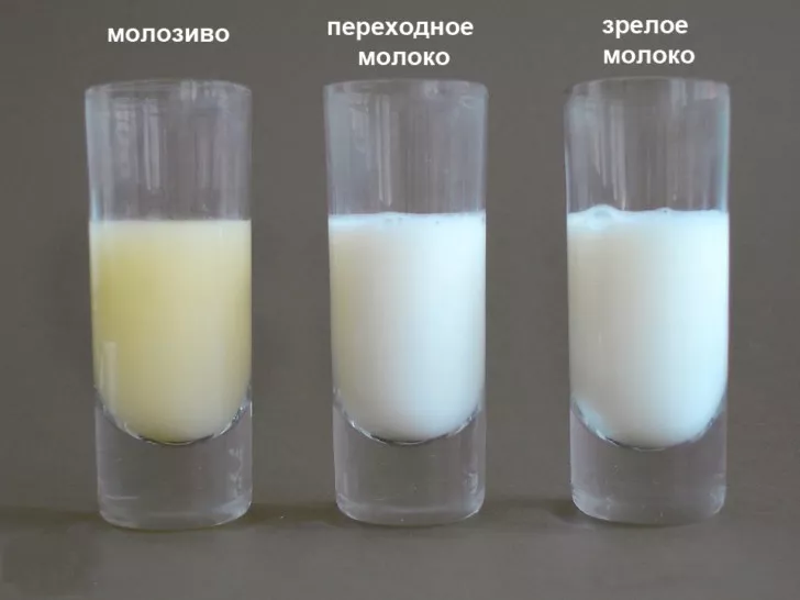 Когда приходит молоко после родов и что делать, если не приходит