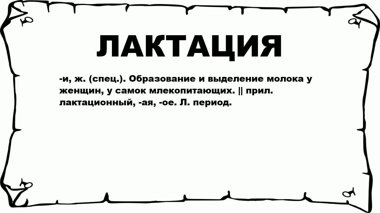 Лактация — что это такое?