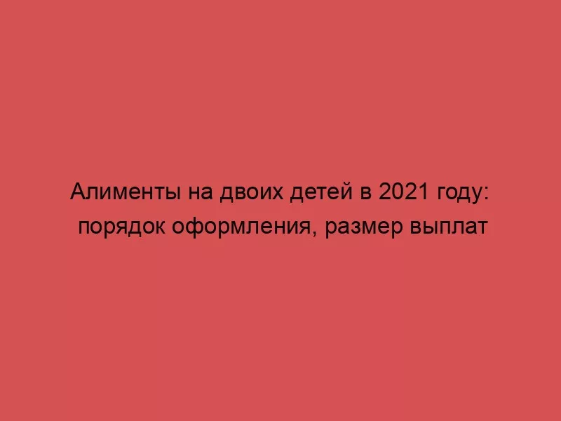 Алименты на двоих детей в 2021 году: порядок оформления, размер выплат